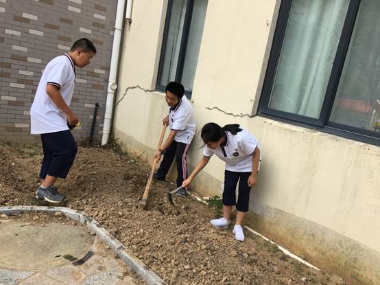 说明: C:\Users\Administrator\Desktop\舟山一初少科院园艺种植基地开种啦!\微信图片_20180930172405.jpg