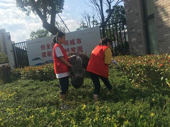 说明: 445895067101436832