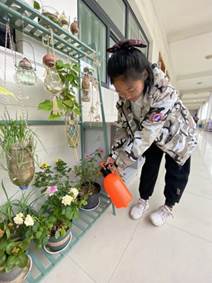 植物角2